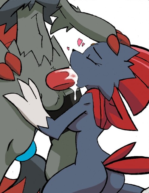 eeveehentai:Zoroark