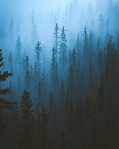 escapekit:Fall in Alberta . Seattle-based...