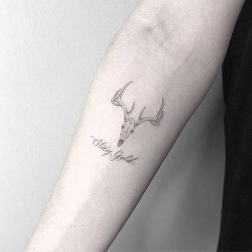 By Kane Navasard, done in Los Angeles. http://ttoo.co/p/36386 kanenavasard;deer skull;small;anatomy;single needle;languages;deer;animal;tiny;ifttt;little;english;inner forearm;quotes;english tattoo quotes;stay gold;skull