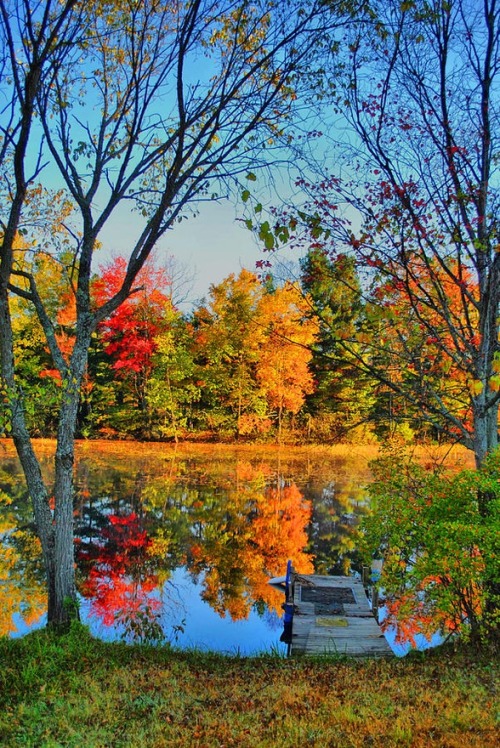 vogueliafaves:Autumn Lake, Adirondacks, New York