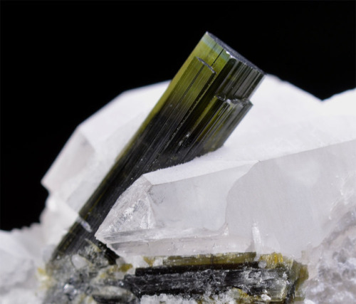 vugnasmineralblog:Tourmaline With QuartzStak Nala,...