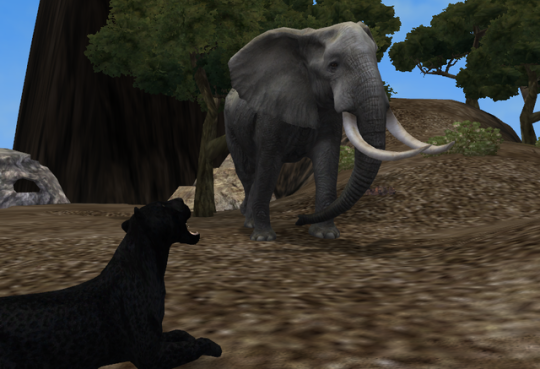 Zoo Tycoon 2 - Carnivora