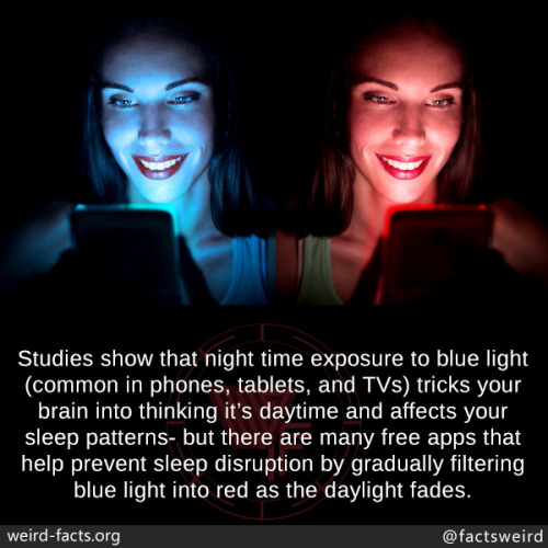 mindblowingfactz:Studies show that night time exposure to blue...