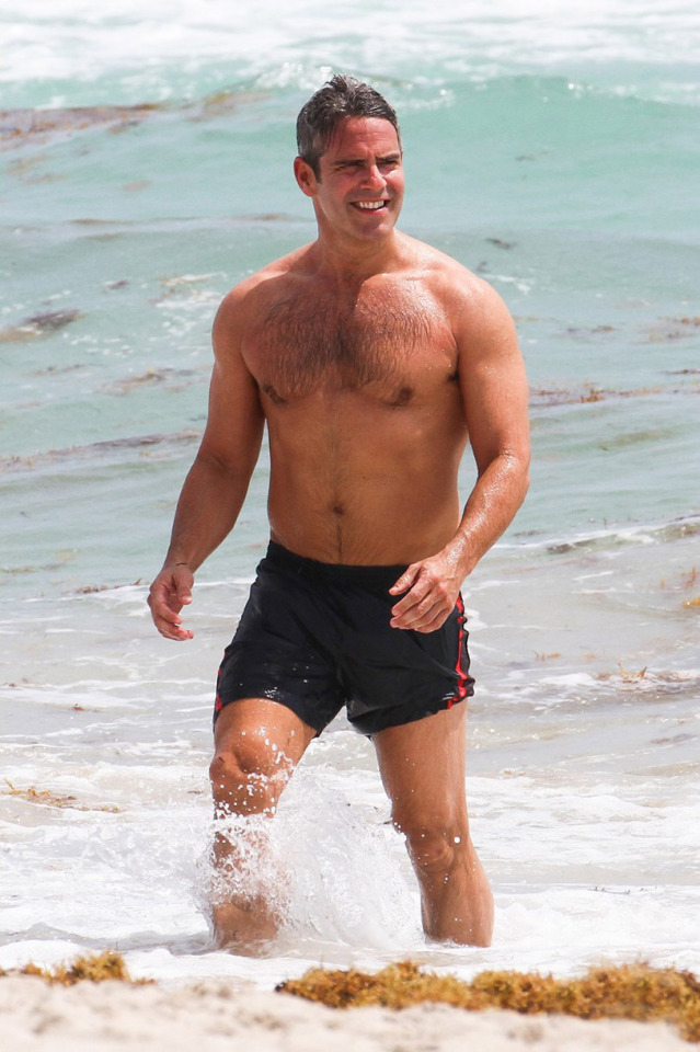 Shirtless Male Celebs Andy Cohen