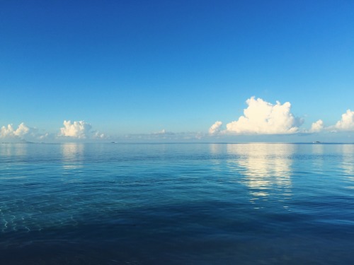 teasmoked:shades of transparent blue. maldives, summer 2015.