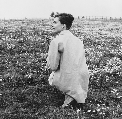 rareaudreyhepburn:Audrey Hepburn photographed by Pierluigi...