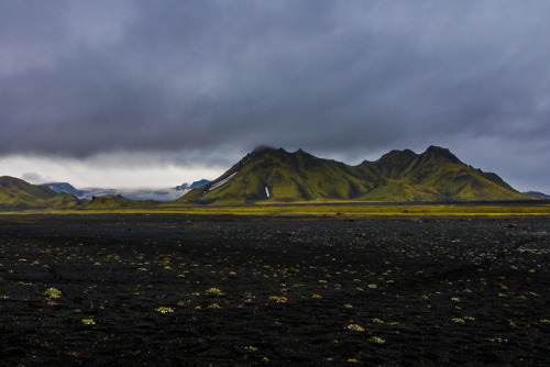 nature-hiking:Volcanic landscape - Laugavegur trail, Iceland,...