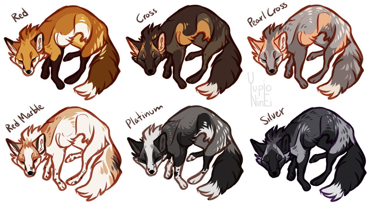 Urn era Vee - Some of my favorite red fox color morphs