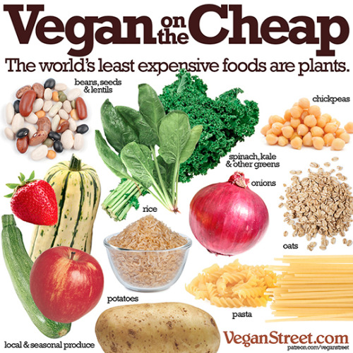 veganfoody:Eating vegan doesn’t have to be expensive. Find some...