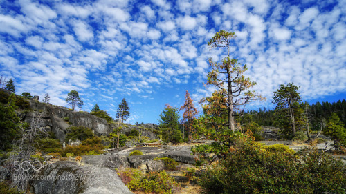 Stanislaus National Forest I. by JackOrion