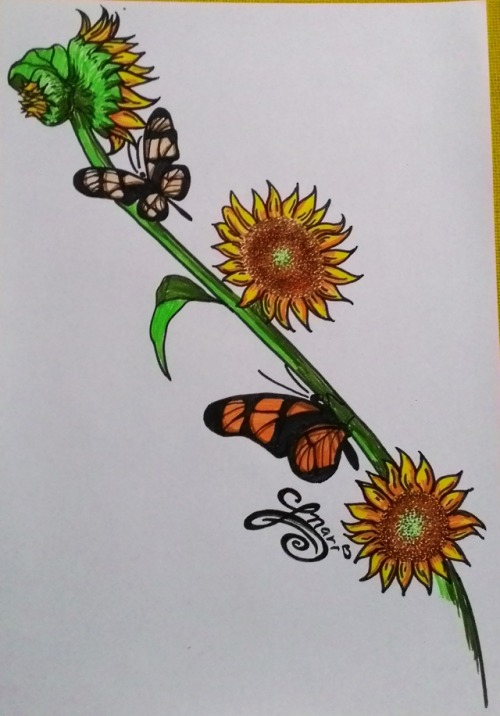 desenho flor | Tumblr
