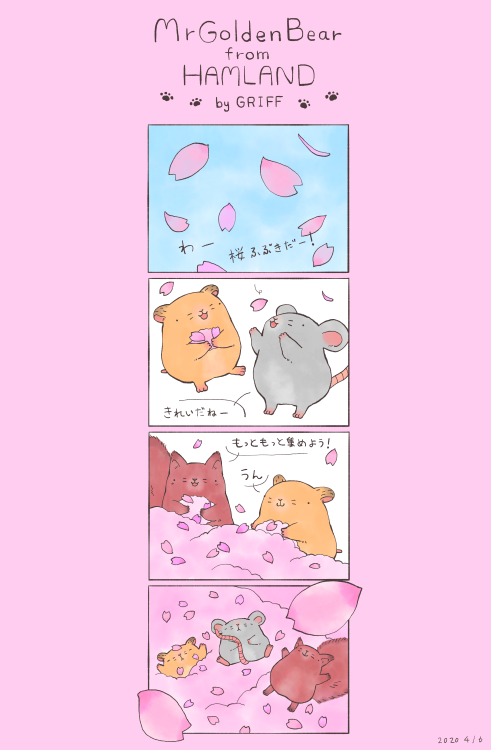 mrgoldenbear