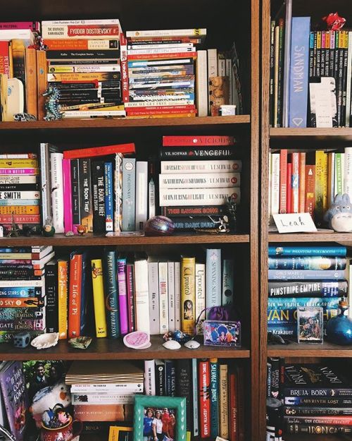 home libraries on Tumblr