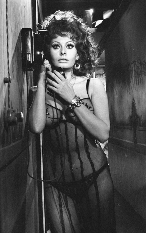 gatabella:Sophia Loren, Marriage Italian Style, 1964