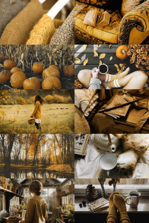 skcgsra:a hufflepuff autumn!