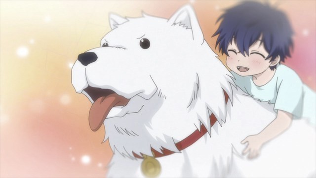 download anime dog day 240p