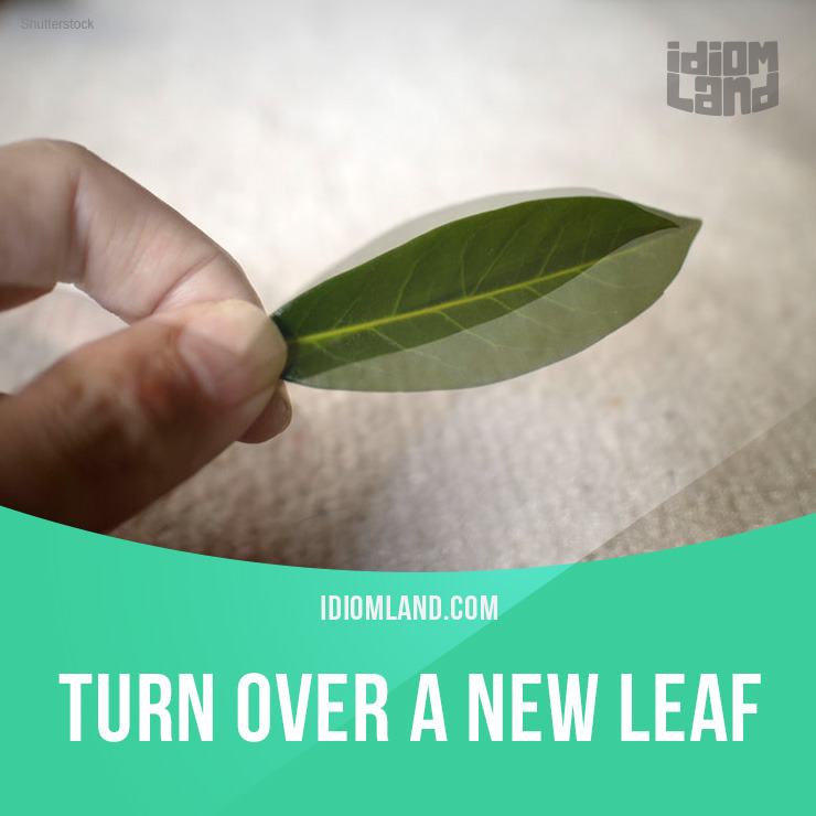 idiom-land-turn-over-a-new-leaf-means-to-start-behaving-in