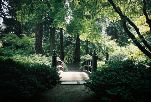 priveting:Photographer: Emi L.Japanese Garden, Portland,...