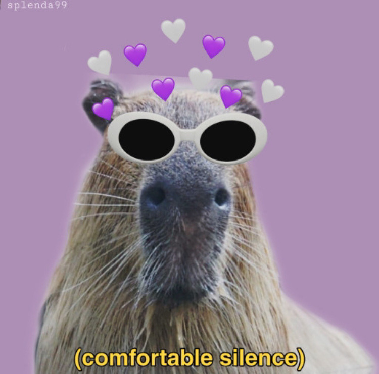 Capybara Pfp On Social Media