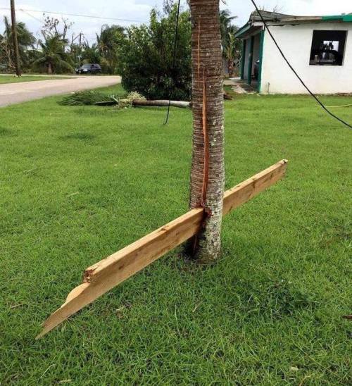 The power of a tornado. 