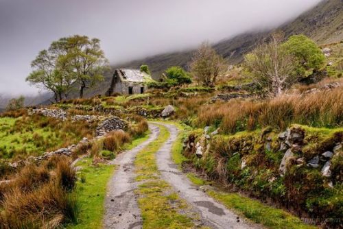 Abandoned Cottage in the black valley of Ireland. https://imgur.com/r/pics/V1A4FCb