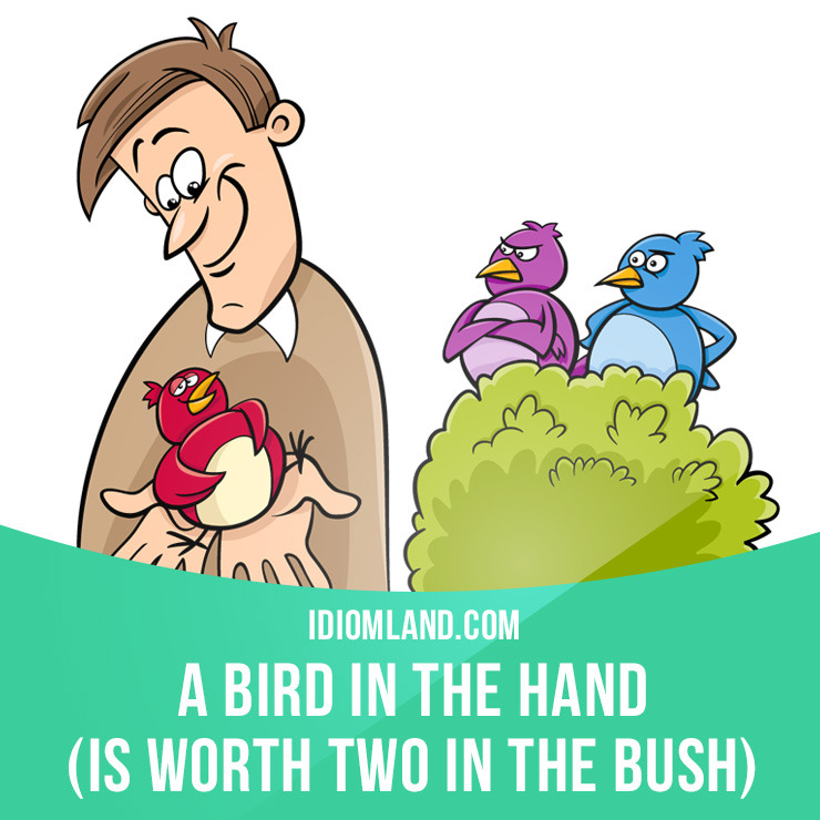 Idiom Land — “a Bird In The Hand Is Worth Two In The Bush ”