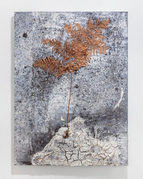 paintedout:Anselm Kiefer