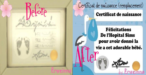 ~ Erweinna ~ — Certificats de naissance de remplacement by...