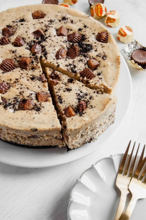 sweetoothgirl:reese’s peanut butter cup cheesecake