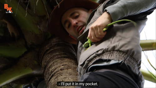 hitamory-dead-blog:All you need to know about coyote peterson...