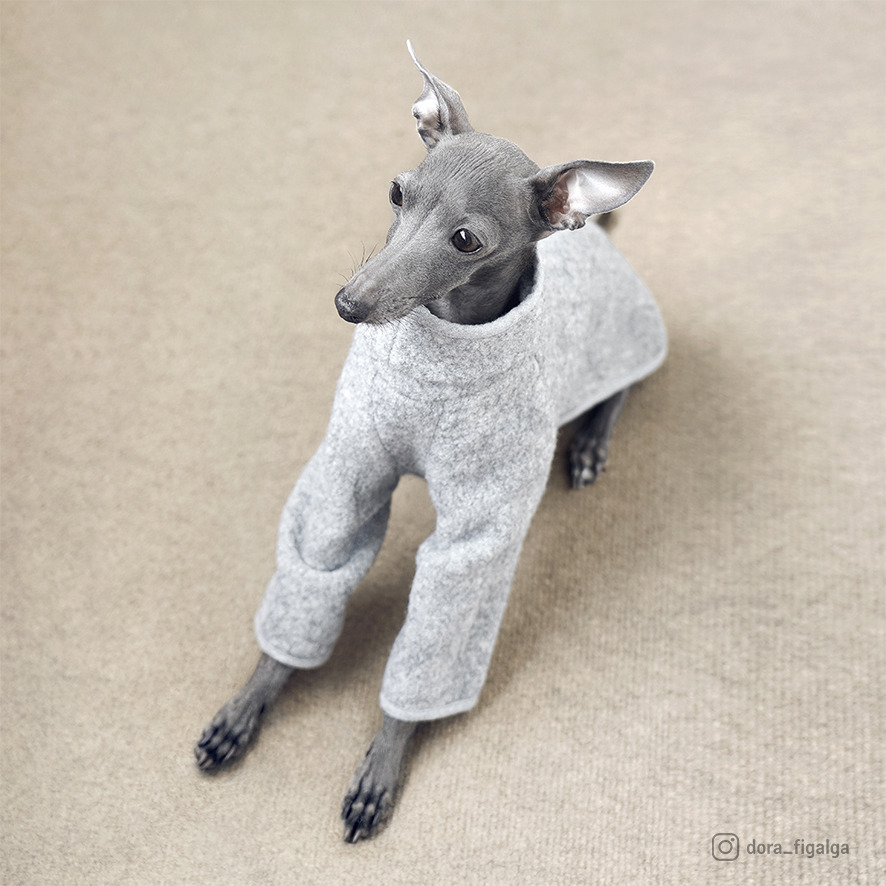 italian greyhound plush