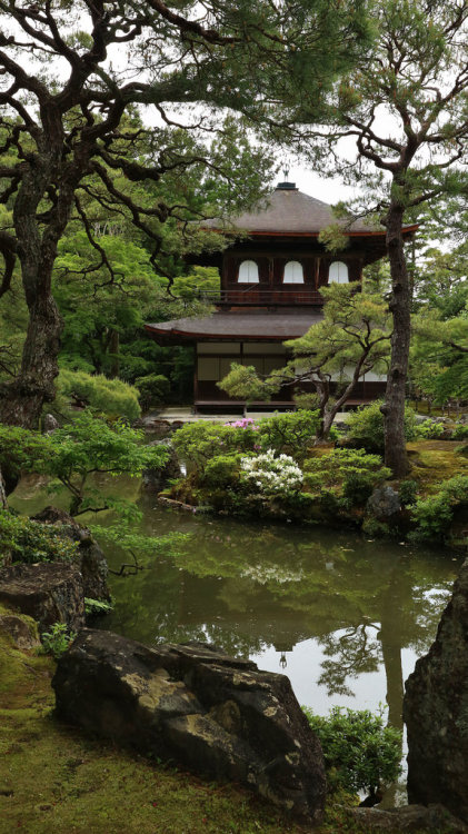 iesuuyr:Kyoto, Japan | maco-nonch★R