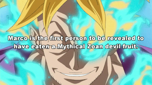 Anime Facts Curators - One Piece facts.