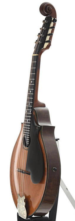 frettedchordophones:A top-of-the-line Lyon & Healy model...