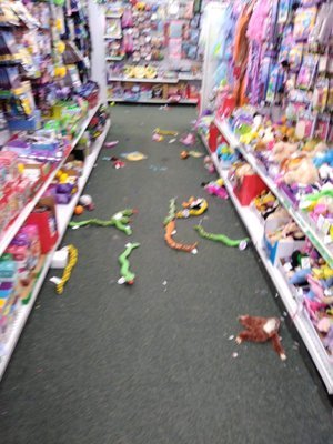 dollar tree dog toys