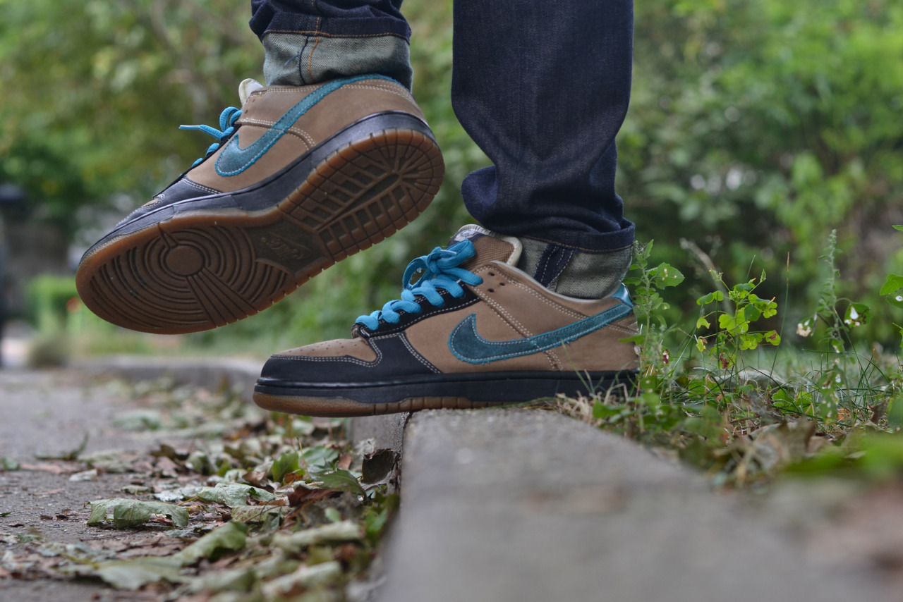 slam city skates nike sb dunks slam city skates nike sb dunks