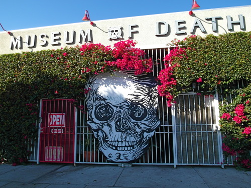 sixpenceee:The Museum of Death in Hollywood. This...