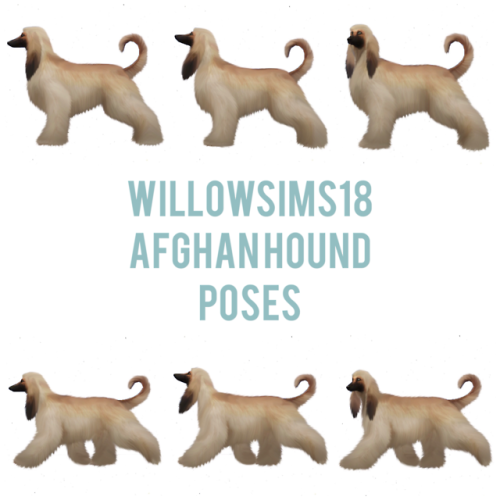 willowsims18