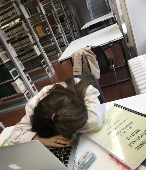machiattostudy