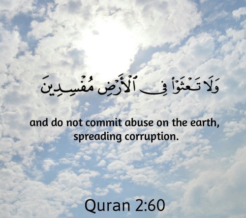 Image Result For Surah Al Baqarah Al Quran Al Kareem D A D D D B D A D D A D D D B D A D Image Result For Surah Al Baqarah Al Quran Al Kareem D A D D D B D A D D A D D D B D A D