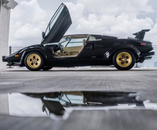 utwo:‘88 Lamborghini Countach 5000S© curated miami