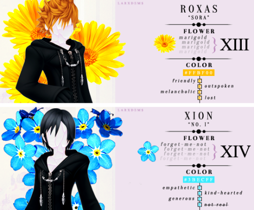 larxdems:organization xiii :: flower+color+personality study...