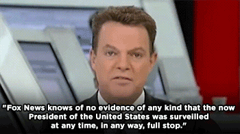 Image result for shep smith gif