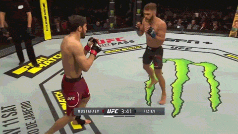 76212455ffdc6d3c38e9cd06ac74023f37740821.gifv