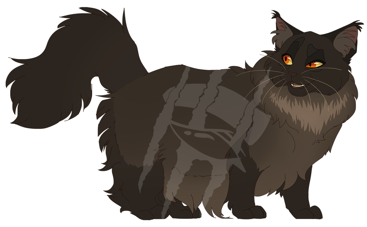 Warrior Cats Designs