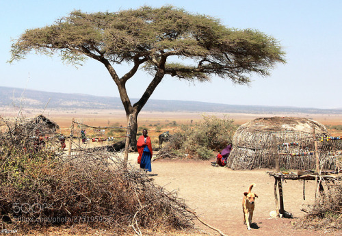 socialfoto:Masai Dorf by ochsrei #SocialFoto