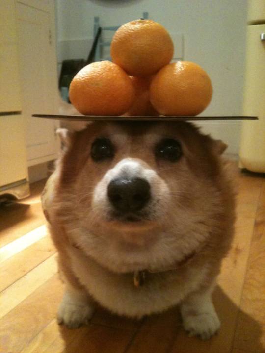 Blessed_table