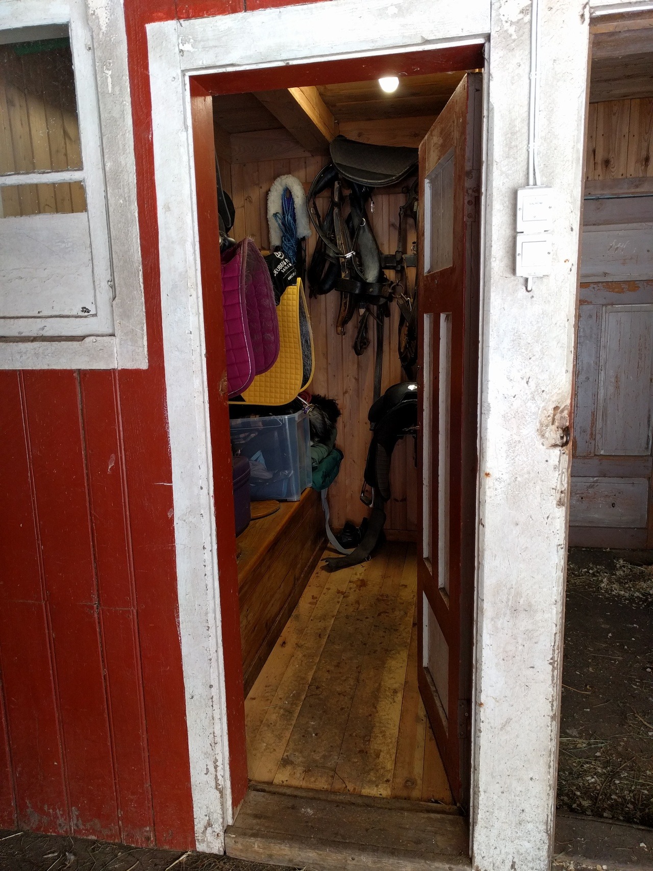 Pumpkin Pony Cleaned The Tack Room And Had To Take Some