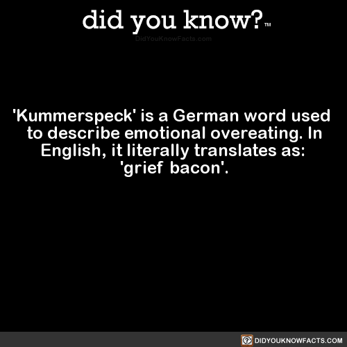 kummerspeck-is-a-german-word-used-to-describe