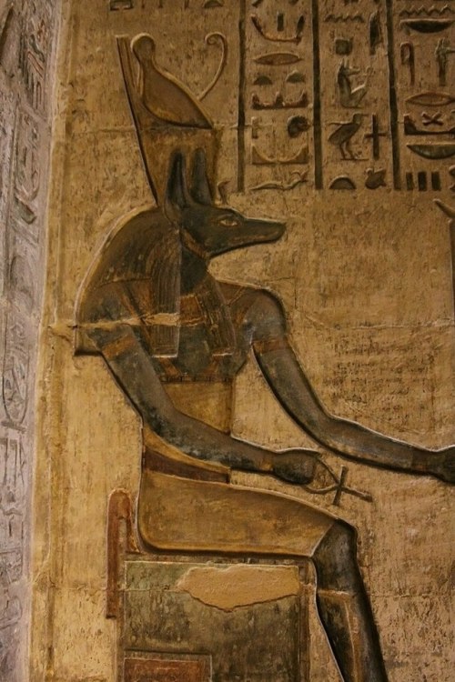 grandegyptianmuseum:Relief depicting the jackal-headed god...